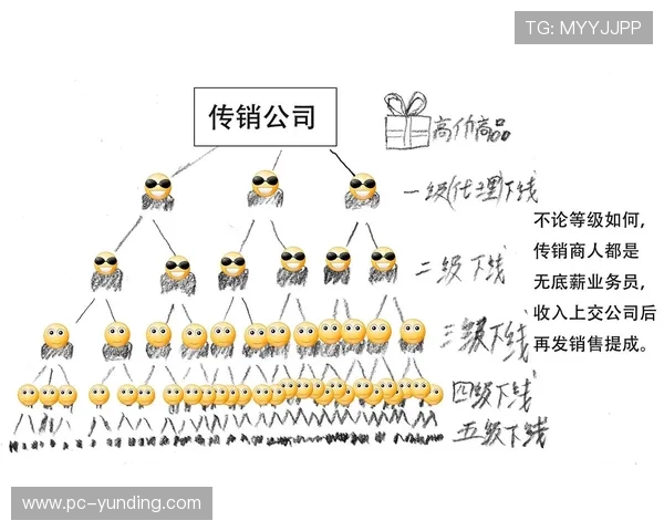 云顶公司是不是传销：公司运营方式与传销的定义是否存在冲突