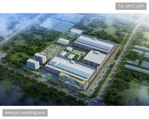 云顶集团4118的未来发展规划与创新布局展望行业领军地位持续提升