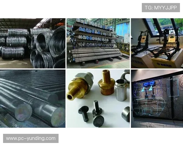 云顶4008集团在科技创新方面的最新突破与应用前景展望