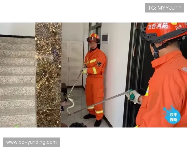 云顶官网安全保障措施，保障玩家个人信息与资金安全的全面介绍