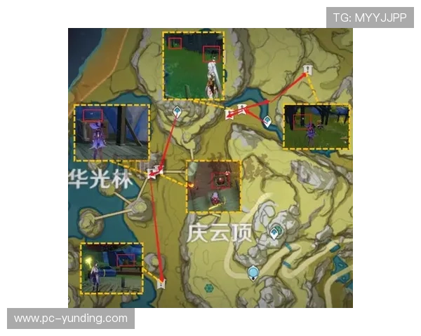 云顶官方网站的社区互动功能及玩家交流平台使用指南