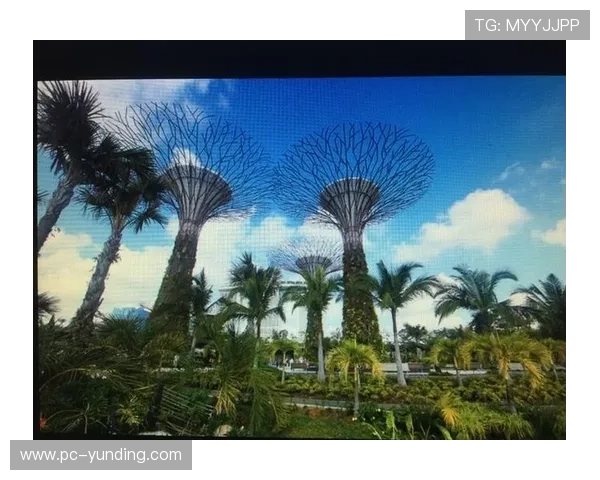 云顶集团新加坡旅游攻略详解如何规划最佳行程体验最丰富的娱乐项目 云顶集团新加坡旅游攻略详解如何规划最佳行程体验最丰富的娱乐项目