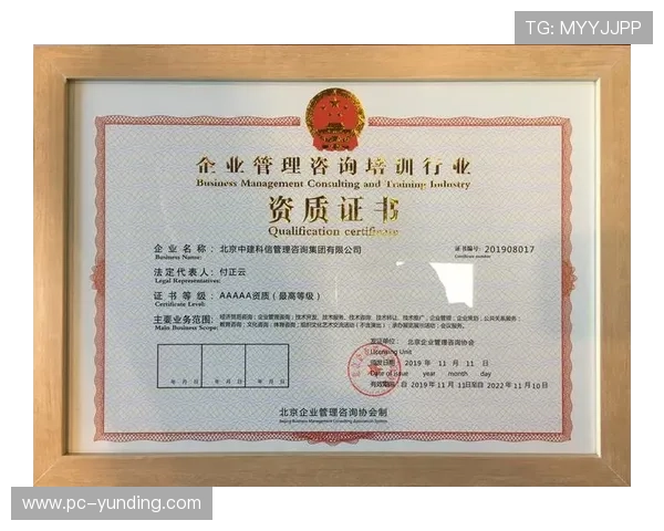 云顶集团的企业使命和核心价值观对行业的影响分析