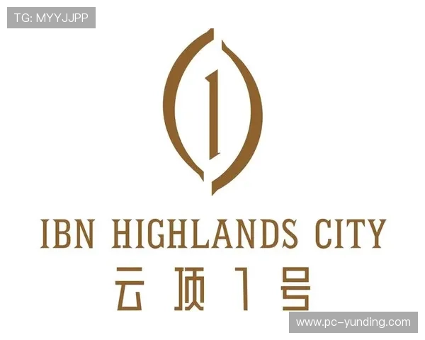 云顶集团简介：云顶集团的管理团队与企业治理结构详解