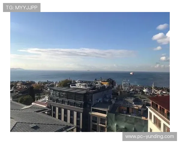 苏丹赌马事件对青少年影响及预防措施的社会责任与应对策略