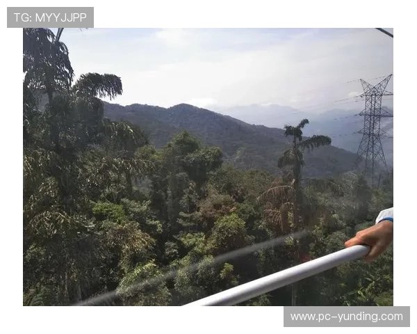 马来西亚云顶赌城赢钱的概率分析以及提升盈利的实用方法