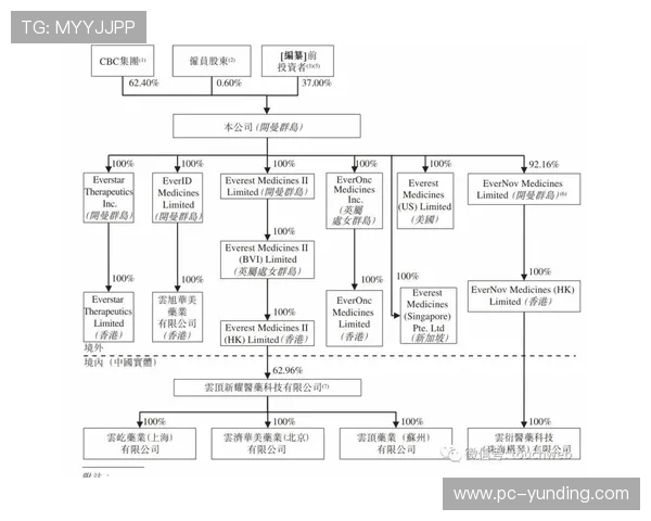 云顶新耀官网平台最新版本更新内容与优化详情解析